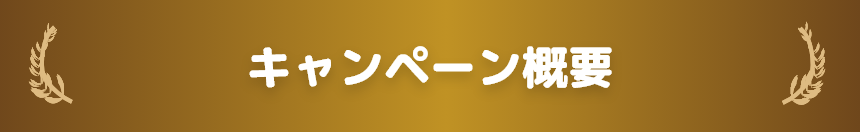 キャンペーン概要