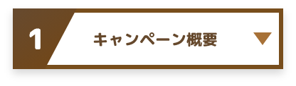 1 キャンペーン概要