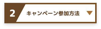 2 キャンペーン参加方法